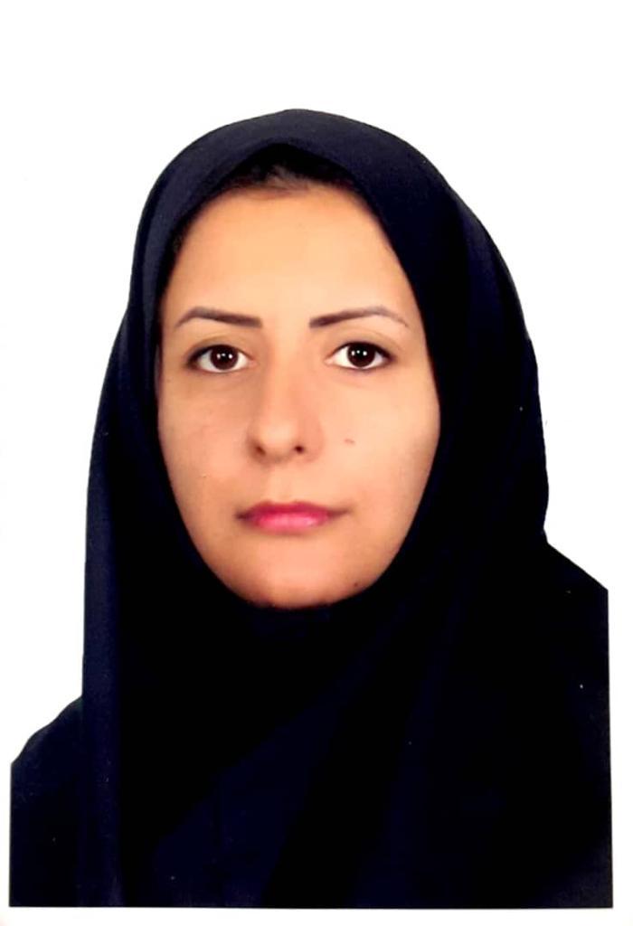 ارسال تصویر(حجم فایل ارسالی باید کمتر از 400 کیلوبایت باشد)
