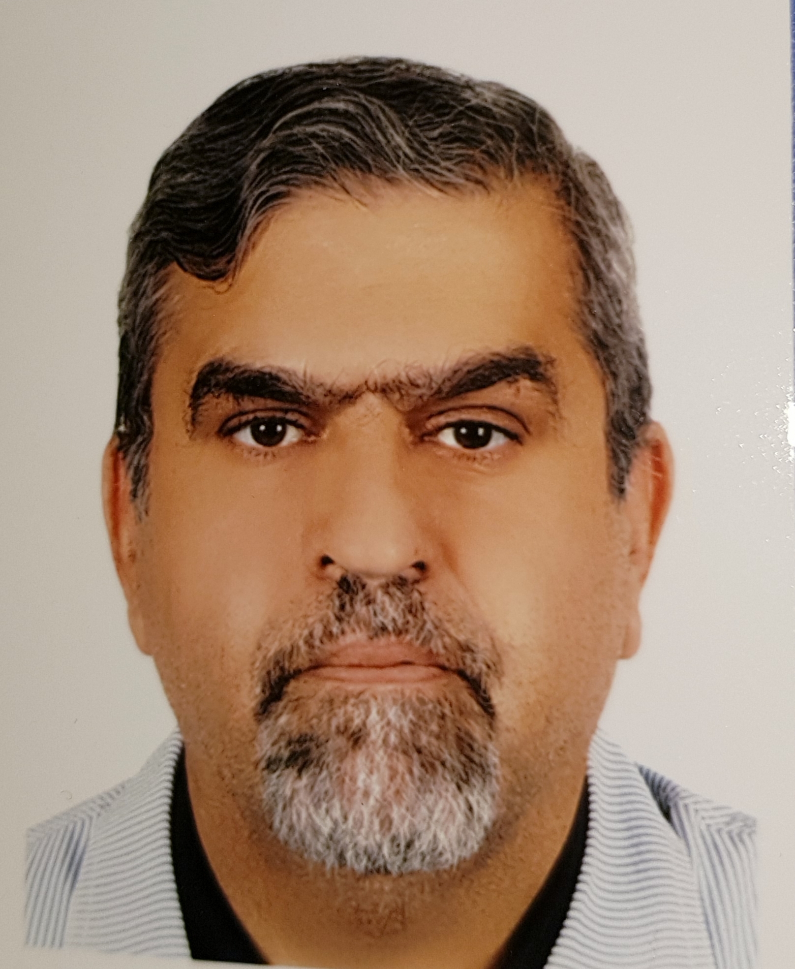 دکتر محمود محمدی 